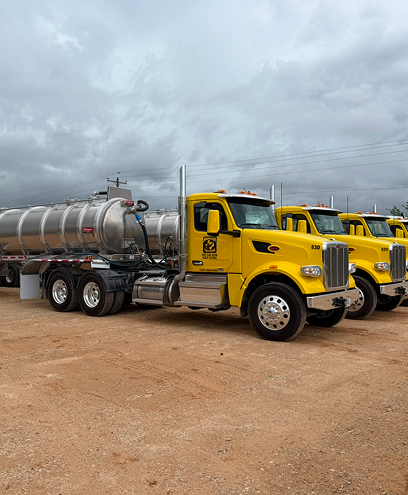 Yellow trucks parked on gravel lot